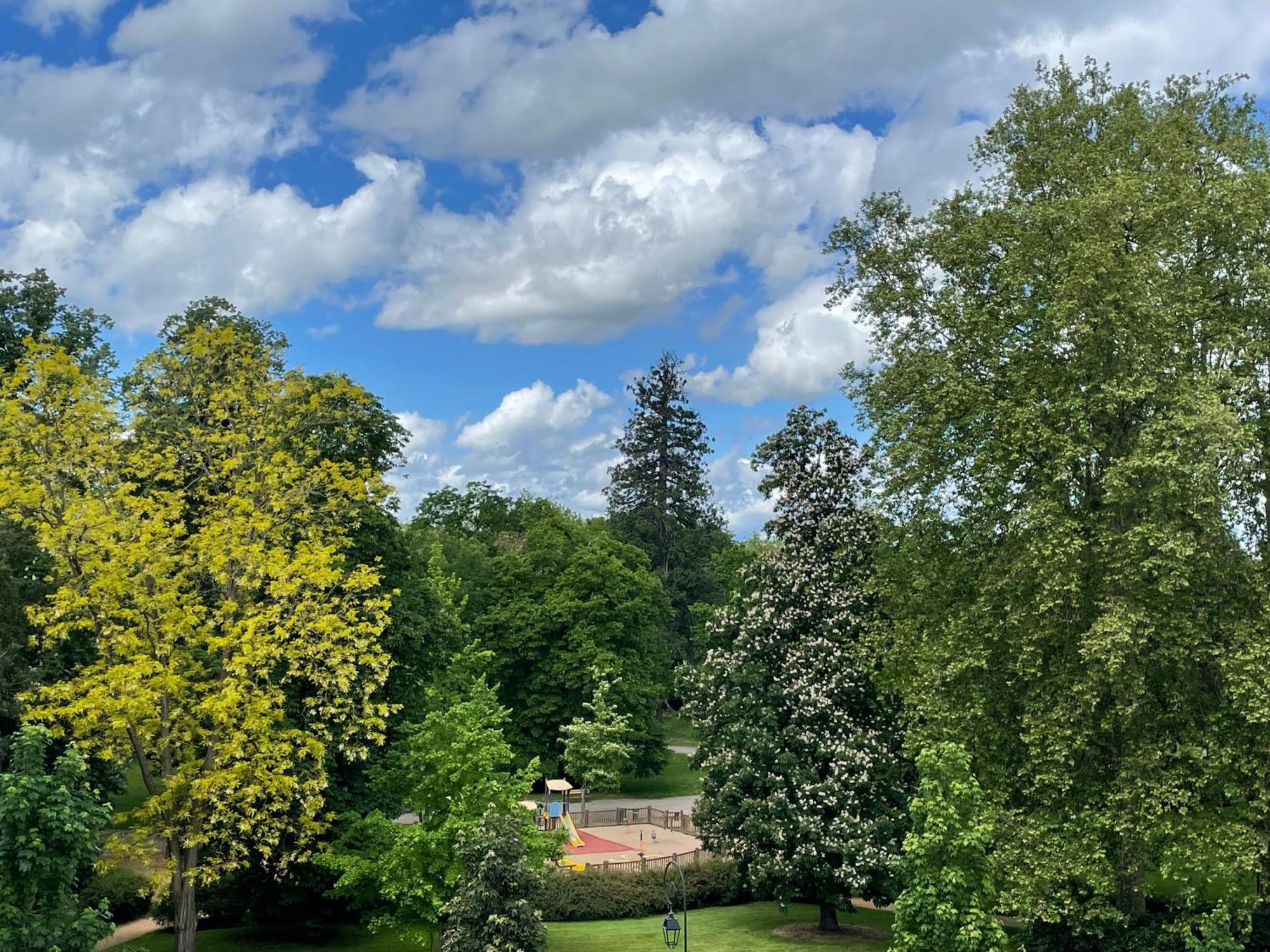 Le Joyau Des Parcs Classe 4 Etoiles Appartement Central Au Calme Avec Terrasse Vichy Eksteriør bilde